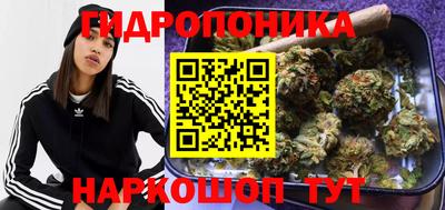 трава Донецк
