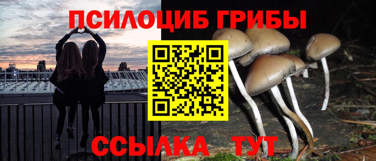 Псилоцибиновые грибы MAGIC MUSHROOMS Мелеуз